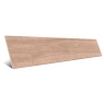 Rue Natural Mate 30x120 (Caja de 1.80m2)